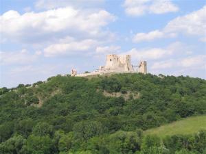 IMG_8014_thumb.jpg 11.5K