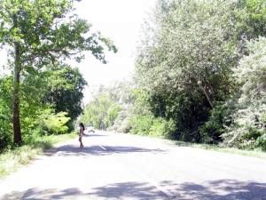 IMG_8030_thumb.jpg 18.1K