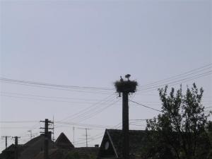 IMG_8033_thumb.jpg 7.4K