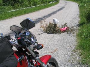 IMG_8047_thumb.jpg 18.0K