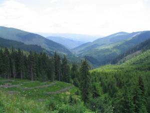 IMG_8049_thumb.jpg 10.2K