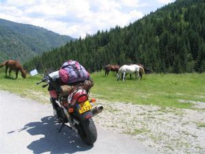 IMG_8053_thumb.jpg 15.1K