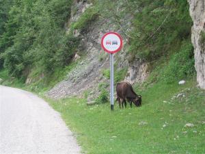 IMG_8060_thumb.jpg 15.3K