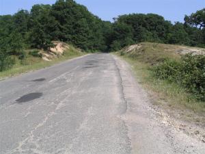 IMG_8095_thumb.jpg 13.4K