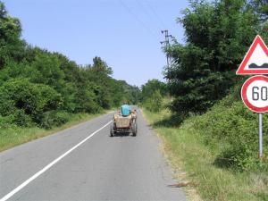 IMG_8098_thumb.jpg 14.5K