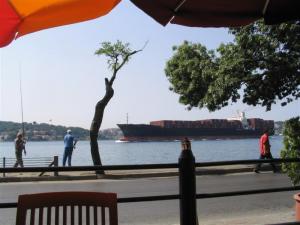 IMG_8105_thumb.jpg 13.2K