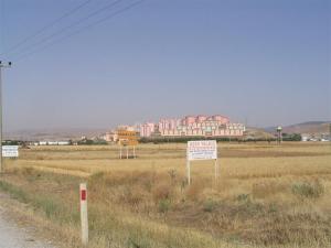 IMG_8120_thumb.jpg 8.5K