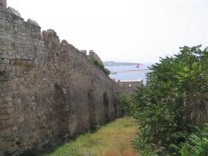 IMG_8146_thumb.jpg 12.3K