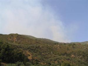 IMG_8178_thumb.jpg 7.8K