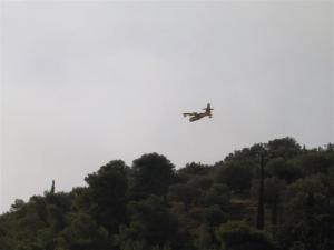 IMG_8187_thumb.jpg 5.3K