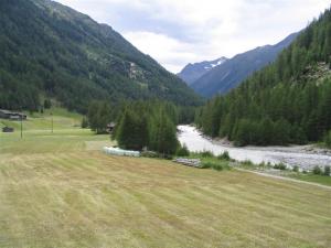 IMG_8254_thumb.jpg 11.8K